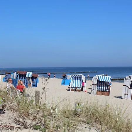 Coelpin - Stranddistel 01 Kolpinsee