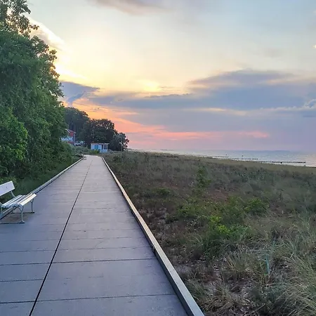 Coelpin - Stranddistel 01